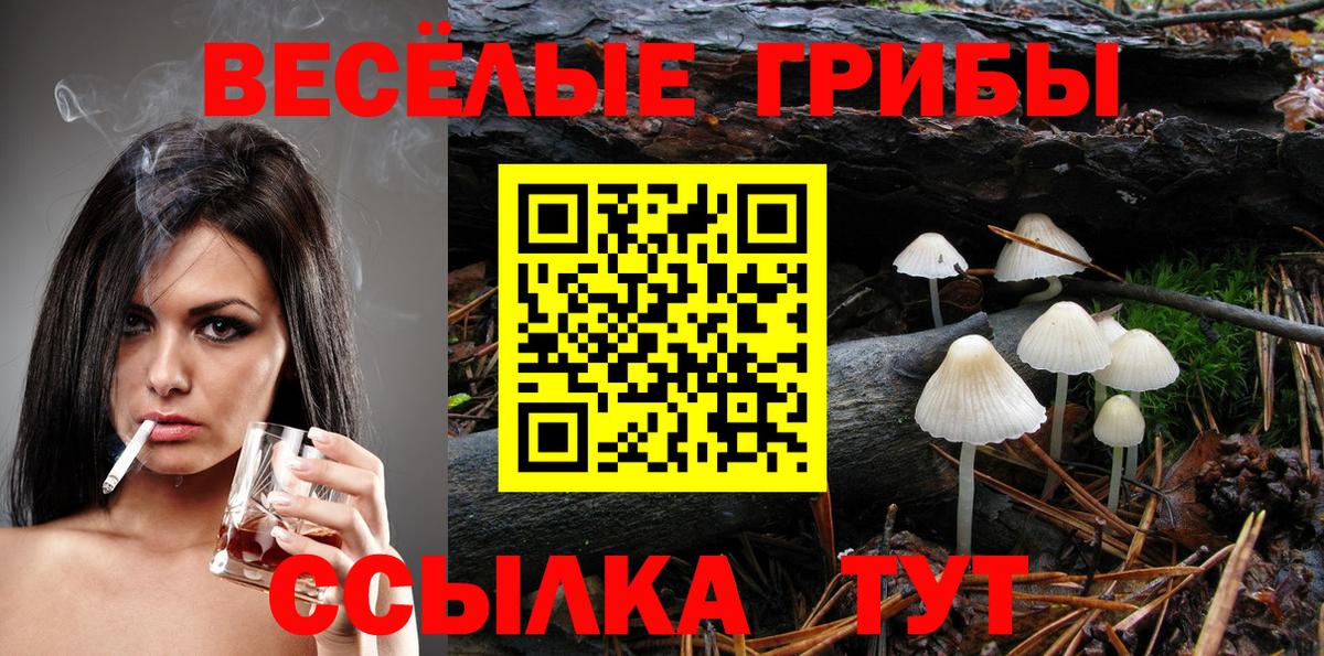 Лесосибирск  Псилоцибиновые грибы мицелий  Галлюциногенные грибы мицелий  Вход с VPN 